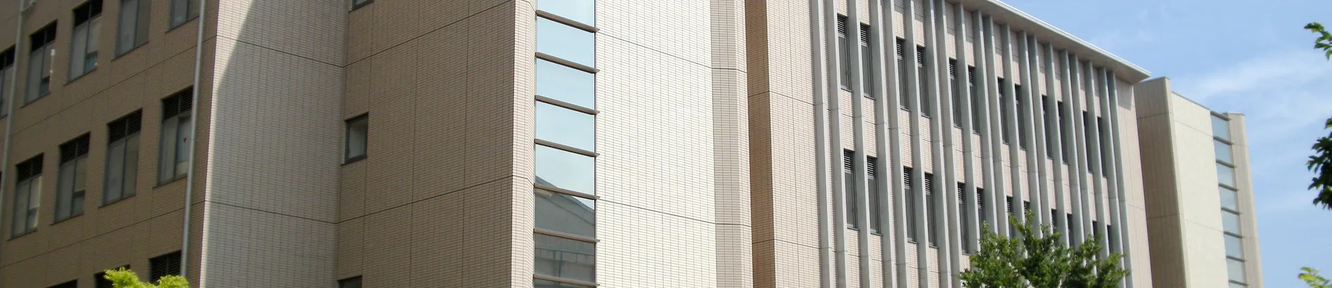 Tokushima Üniversitesi