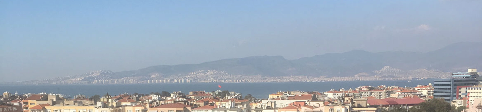 İzmir Demokrasi University