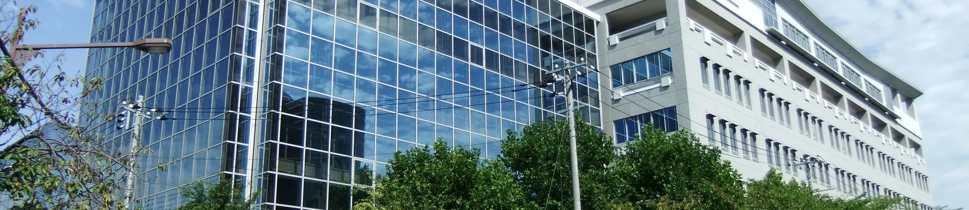 Tokyo Metropolitan Üniversitesi