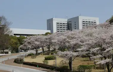 Chuo Üniversitesi