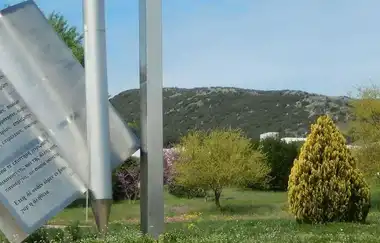 University of Ioannina