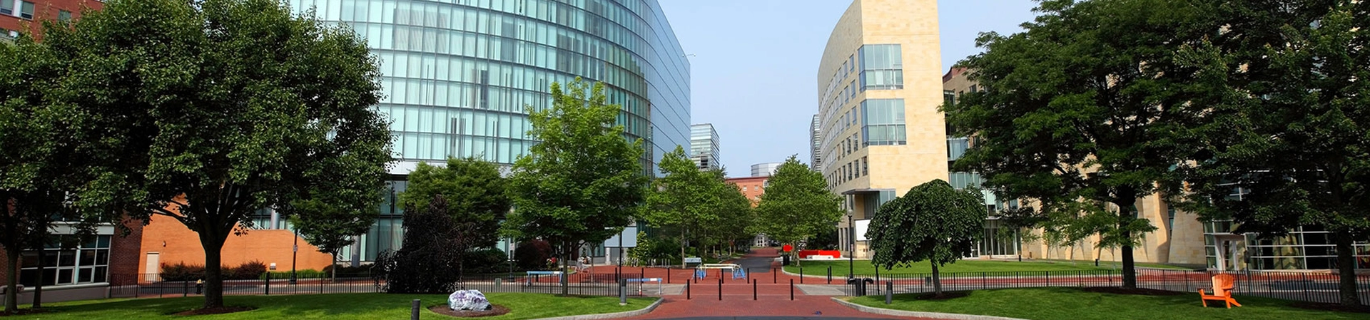 Northeastern Üniversitesi