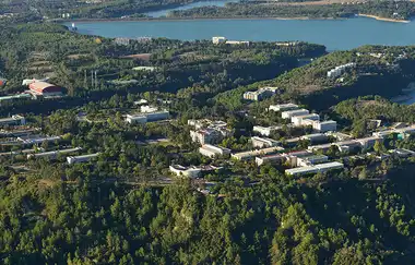 Çukurova Üniversitesi