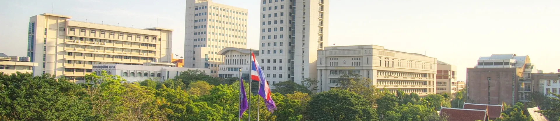 Dhurakij Pundit Üniversitesi