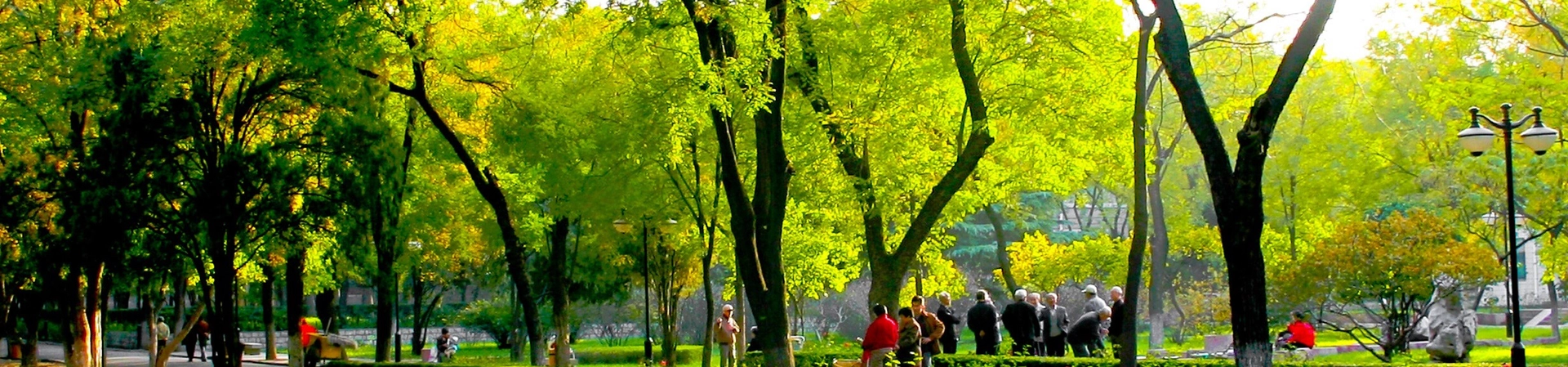 Afyonkarahisar Health Sciences University