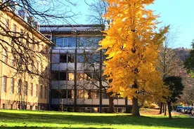 Saarland University