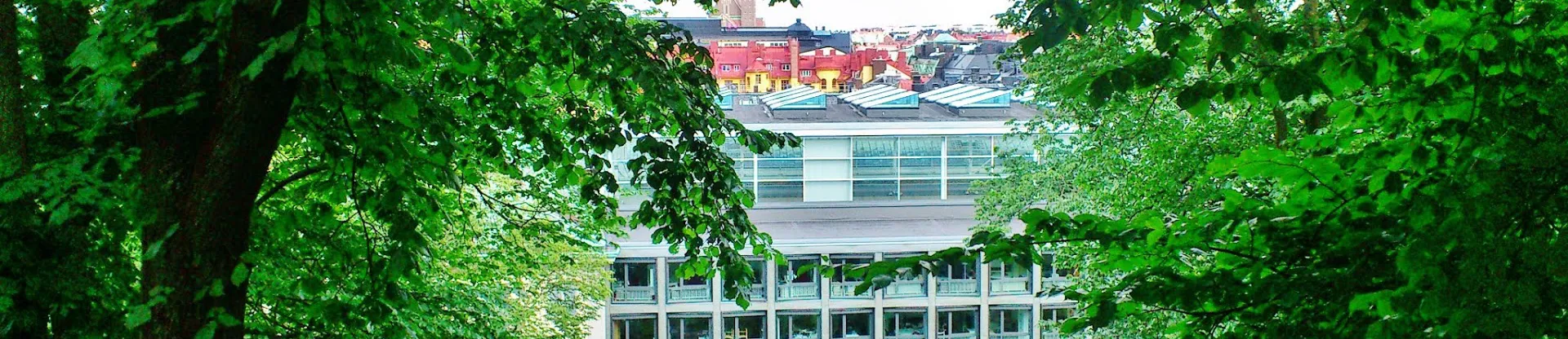 Stockholm Ekonomi Okulu