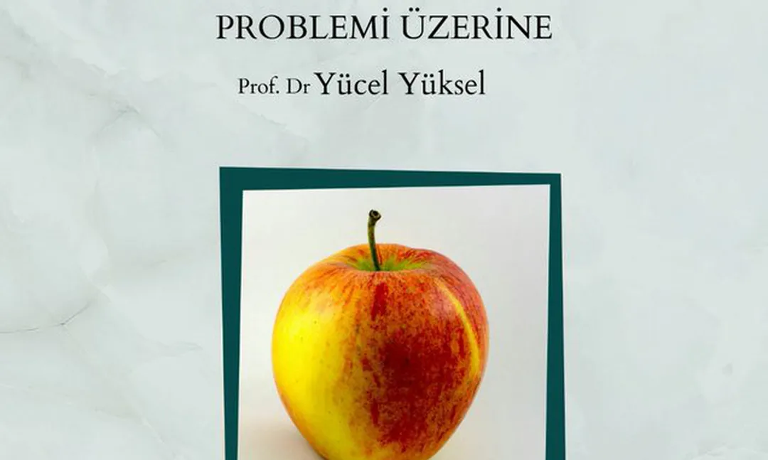 Kesinlik ve Müphemlik problemi Etkinliği İstanbul Üniversitesi'nde