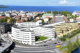 Lisans Jönköping Üniversitesi - İsveç
