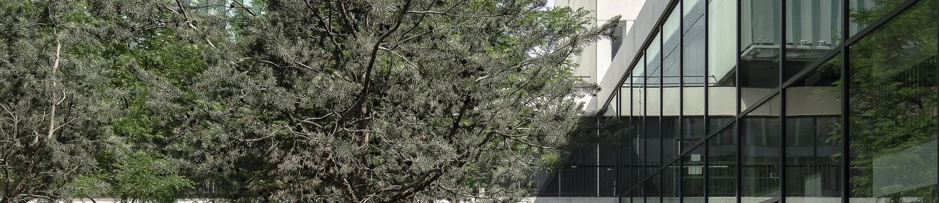 Claude Bernard University Lyon 1