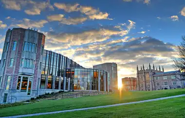 Washington Üniversitesi St. Louis Kampüsü
