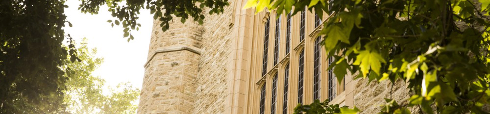 Adelaide Üniversitesi