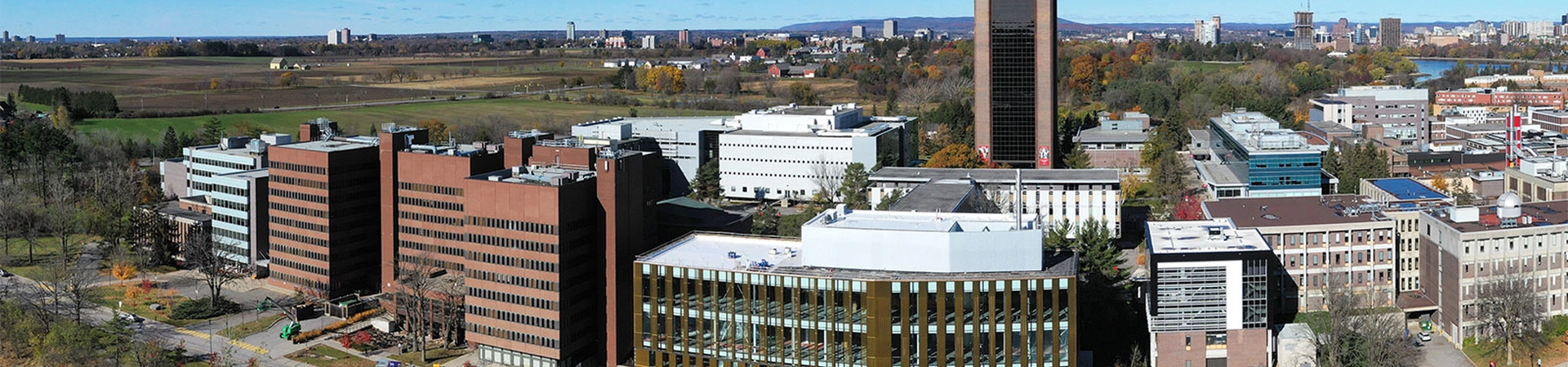 Carleton Üniversitesi