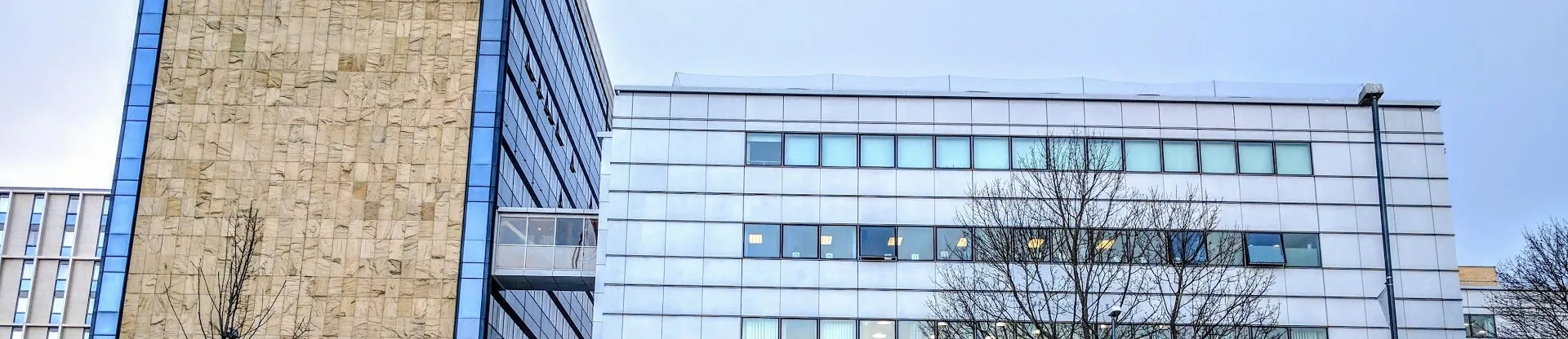 Leeds Beckett Üniversitesi