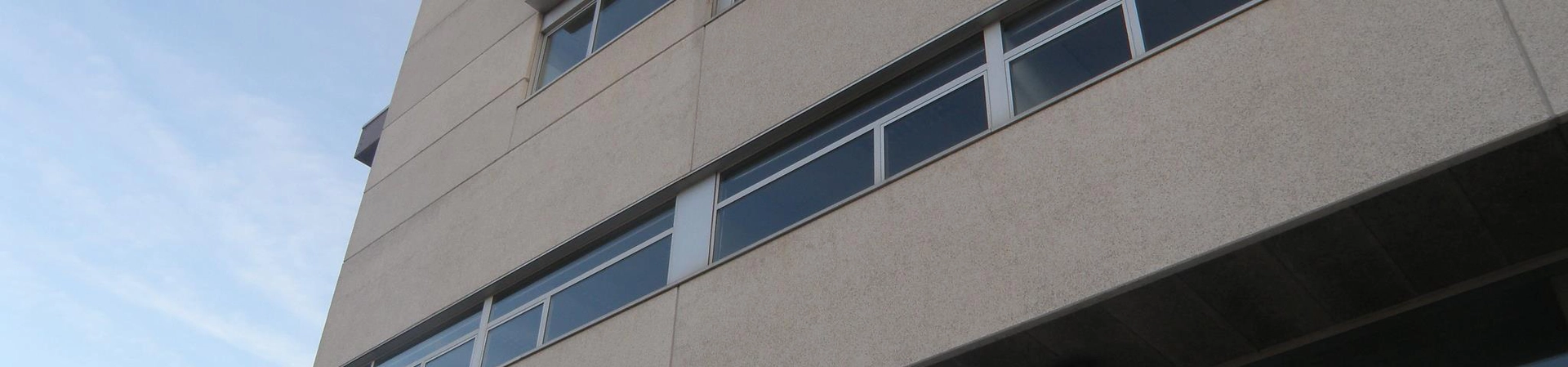 University of the Basque Country