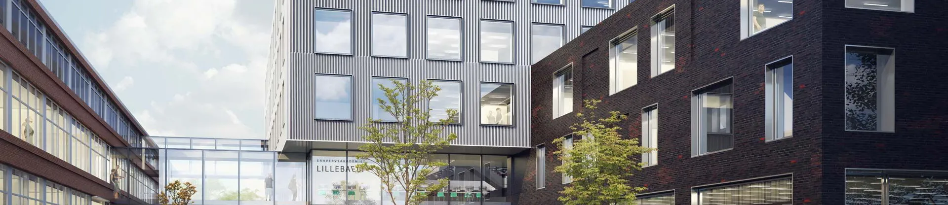 University College Lillebaelt