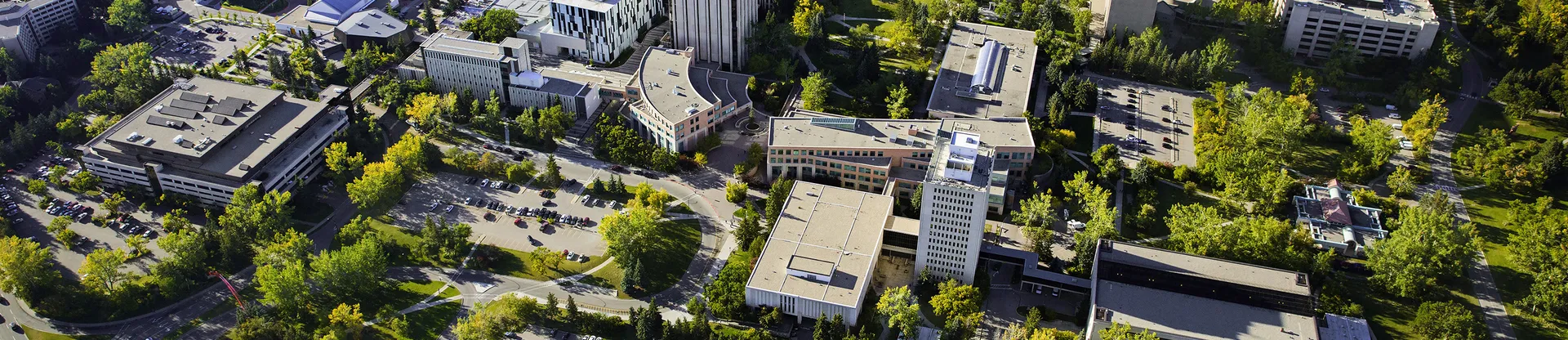 Calgary Üniversitesi