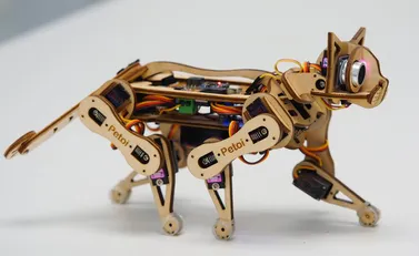 Herkesin Kolayca Kodlayabileceği Robot Bir Kedi: Nybble