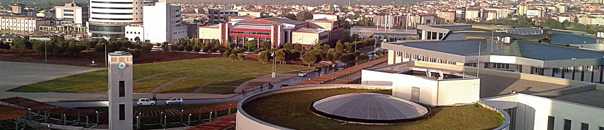 Pamukkale University