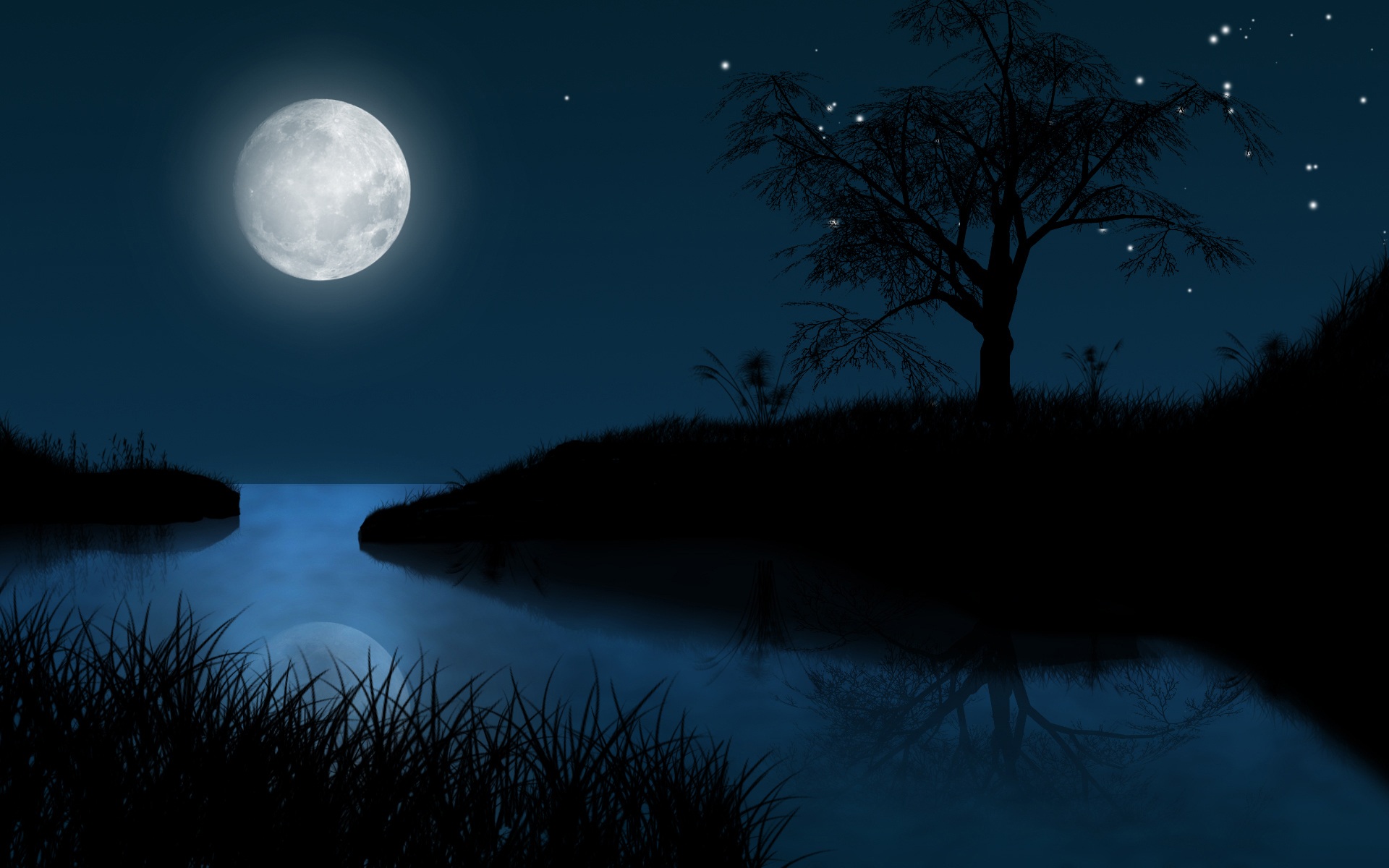 full-moon-night-wallpapers-61454-4662491.jpg