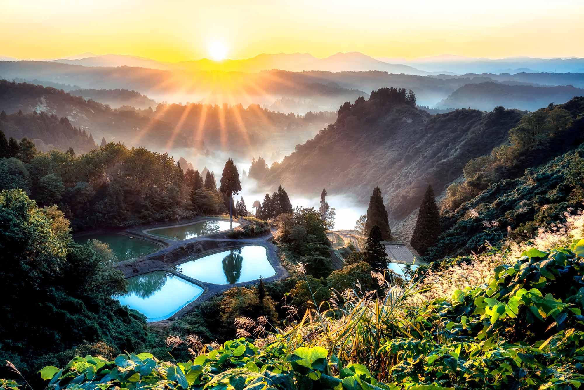 Nagaoka Üniversiteleri 1 Üniversitenin Listesi