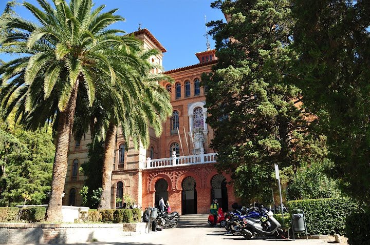 University Of Granada Bachelor Programmes Tuition