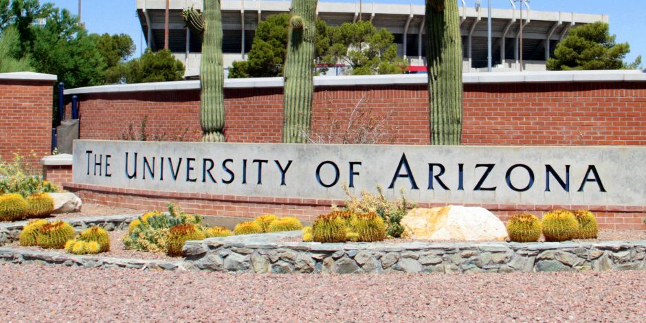 Arizona Üniversitesi
