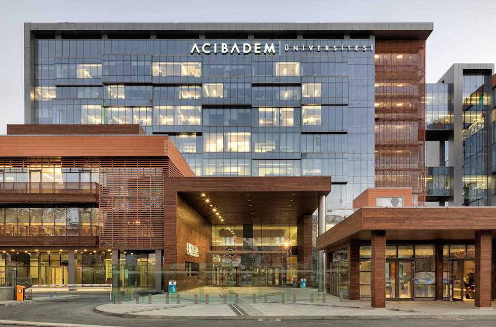 Acıbadem Mehmet Ali Aydınlar Üniversitesi