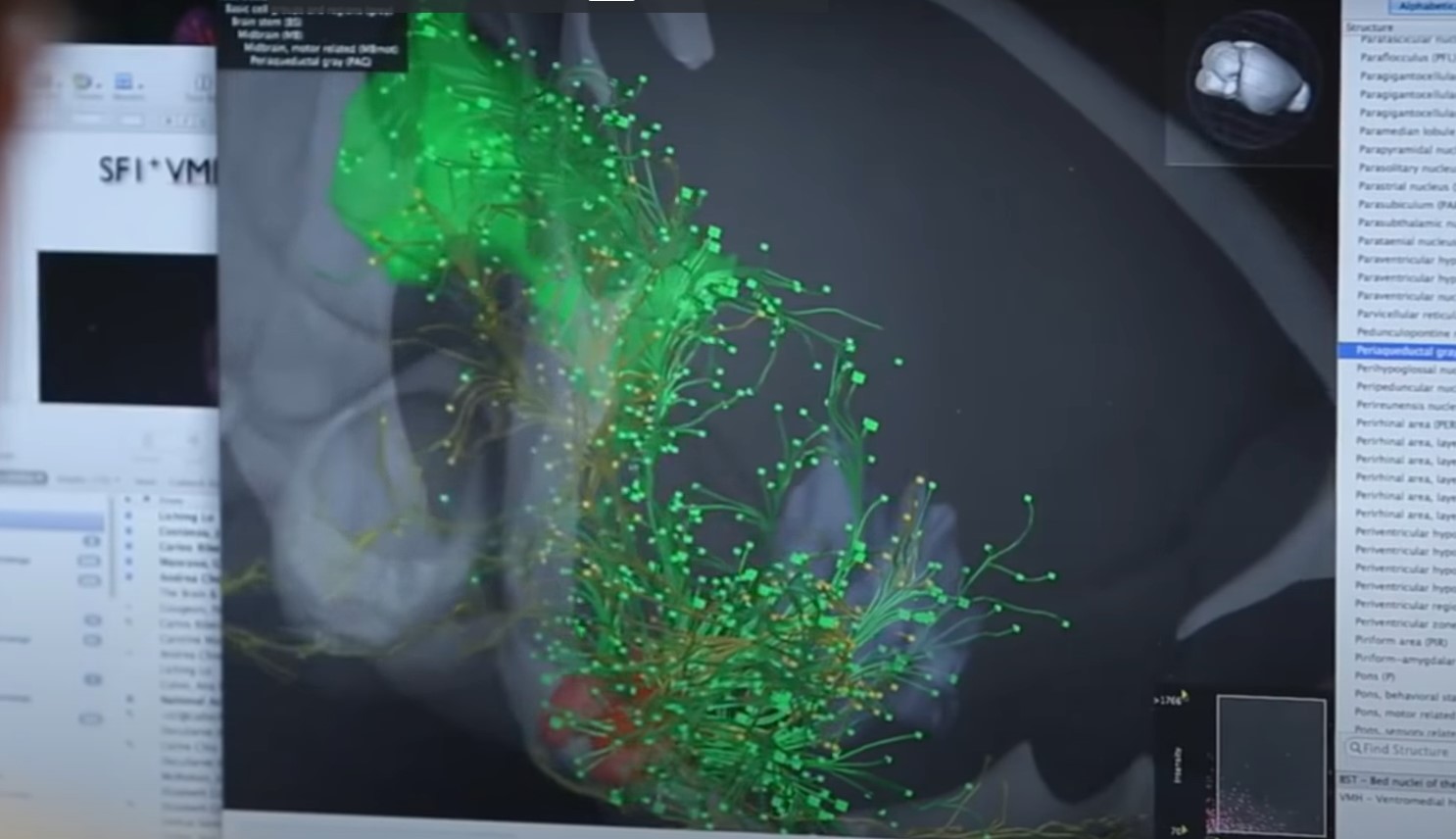 California Teknoloji Enstitüsü
