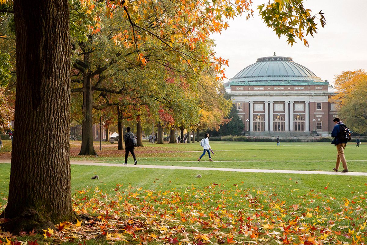 Illinois Üniversitesi