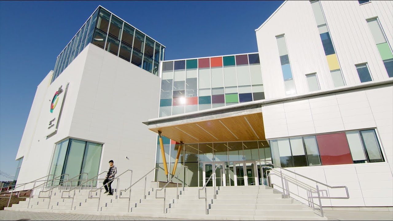 Emily Carr Sanat ve Tasarım Üniversitesi