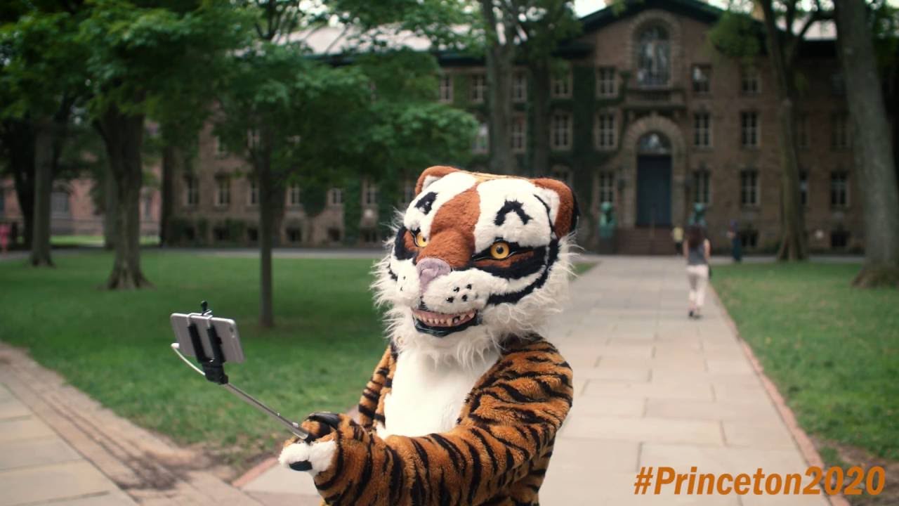 Princeton Üniversitesi