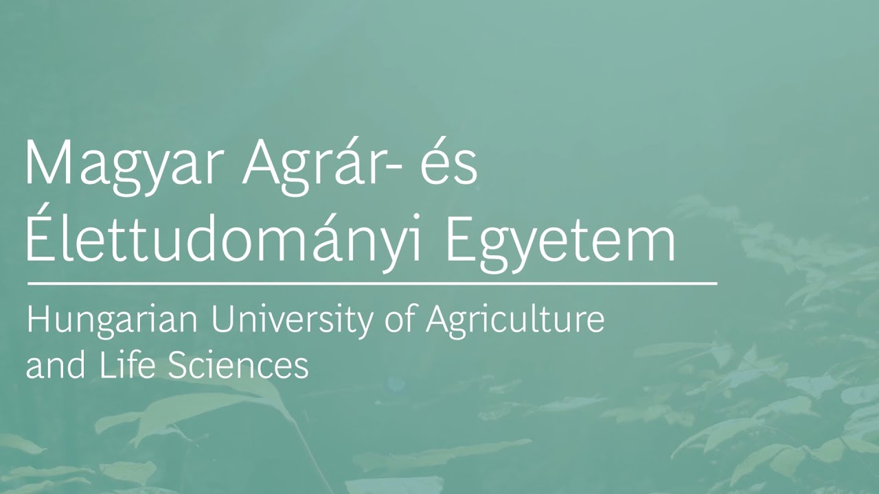 Szent İstvan Üniversitesi