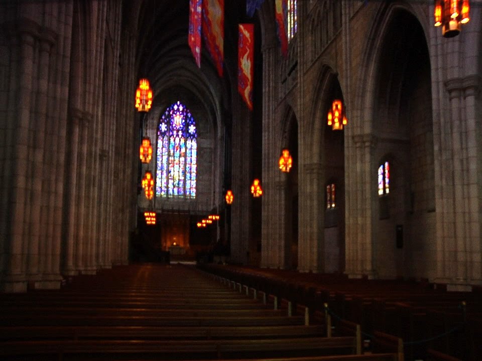 Princeton Üniversitesi