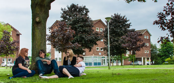 Chester Üniversitesi