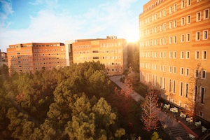 Yeditepe Üniversitesi