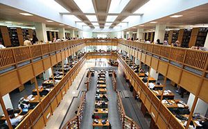 İstanbul 29 Mayıs Üniversitesi