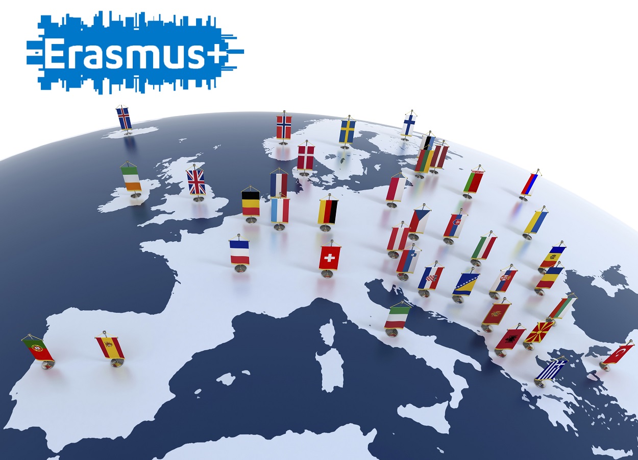 Erasmus Yapın