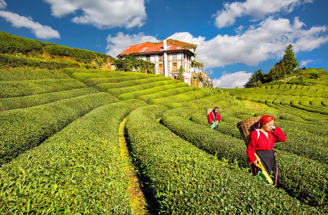 univerlist - rize'de öğrenci olmak 2