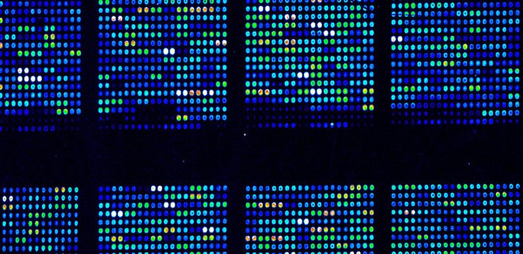 genetik ve biyoenformatik