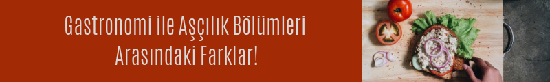 Gastronomi İle Aşçılık Bölümleri Arasındaki Farklar