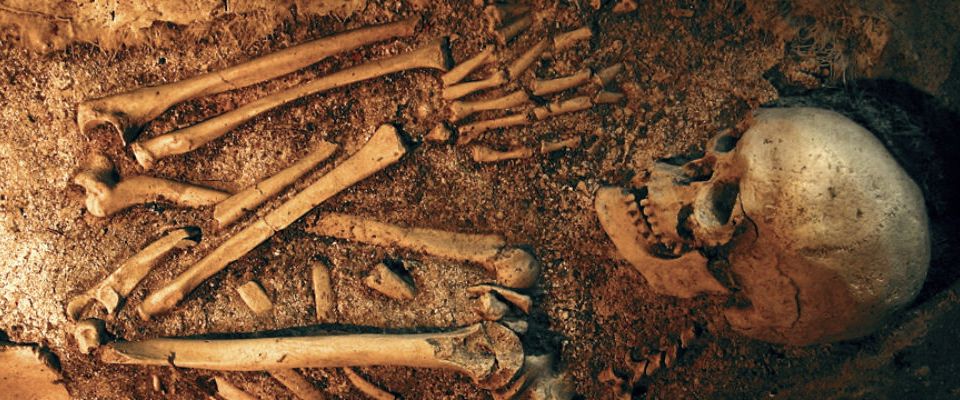 Antropoloji Nedir? Antropoloji Mezunları Ne İş Yapar?