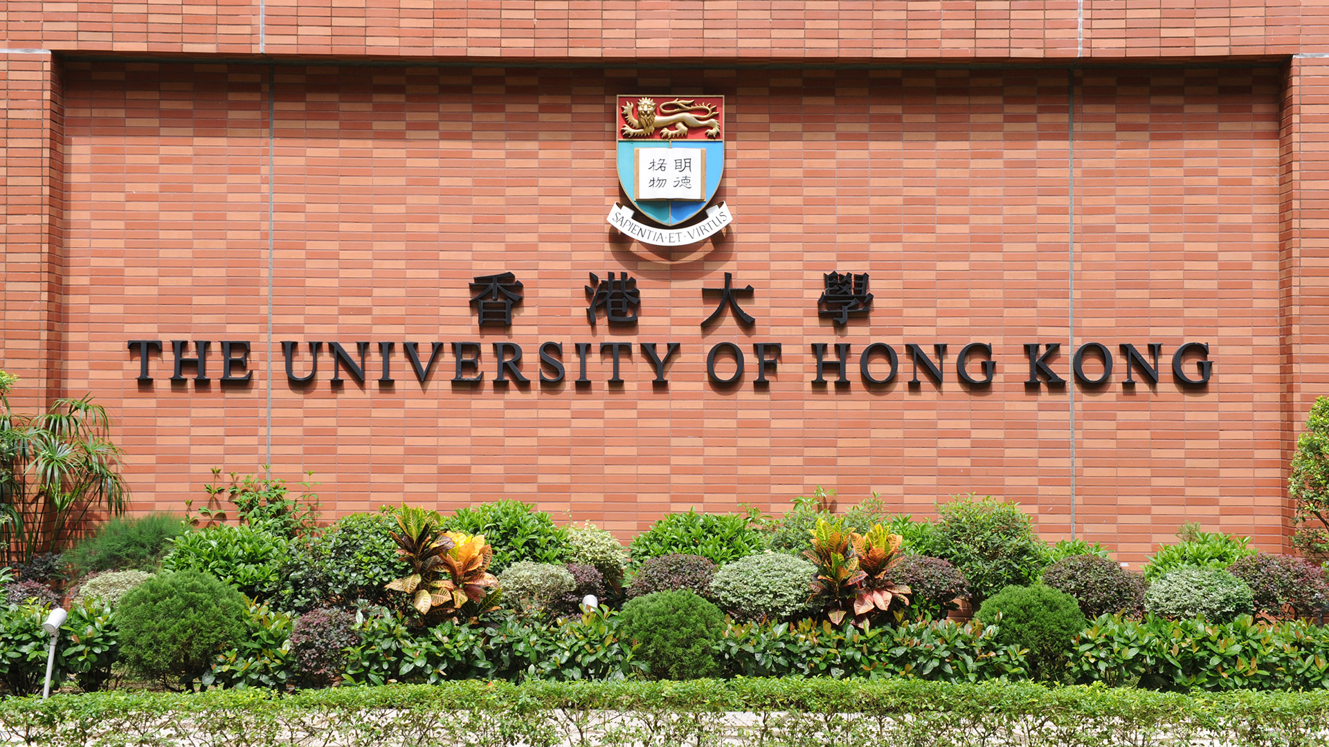 University of Hong Kong 