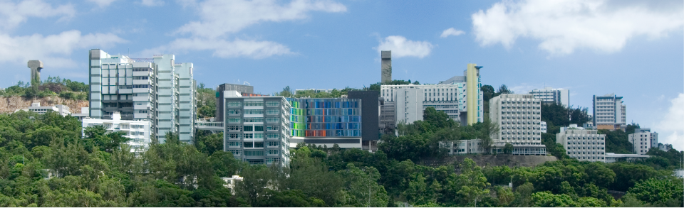 Chinese University of Hong Kong 