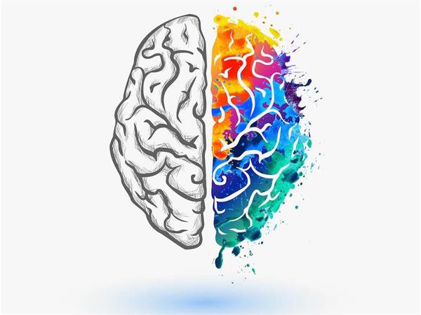 Psikolojik Rehberlik ve Danışmanlık Bölümünü BAU Öğrencisi Zeliha Stefanie Roesler Anlatıyor! 1