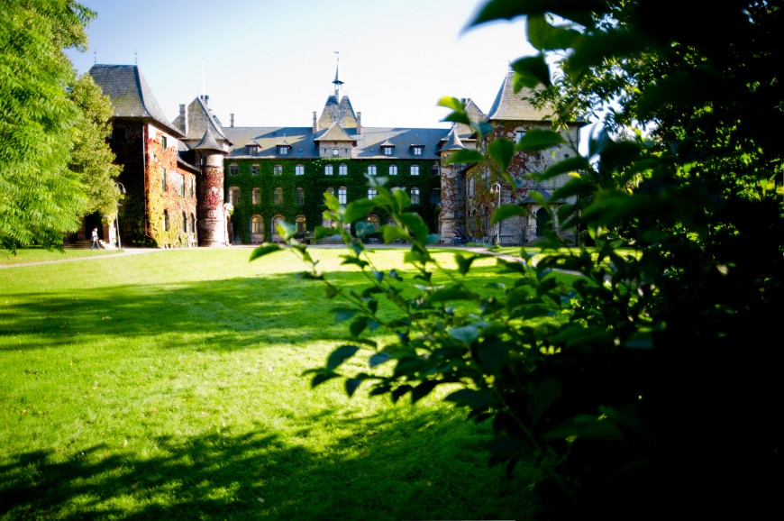 İsveç Tarım Bilimleri Üniversitesi