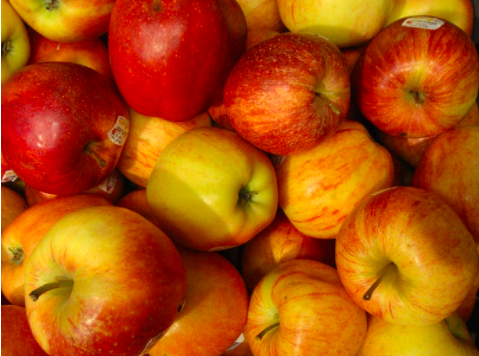 yazılım QA mühendisliği sorusu