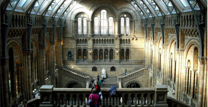 1- Londra'daki Doğa Tarihi Müzesi 12