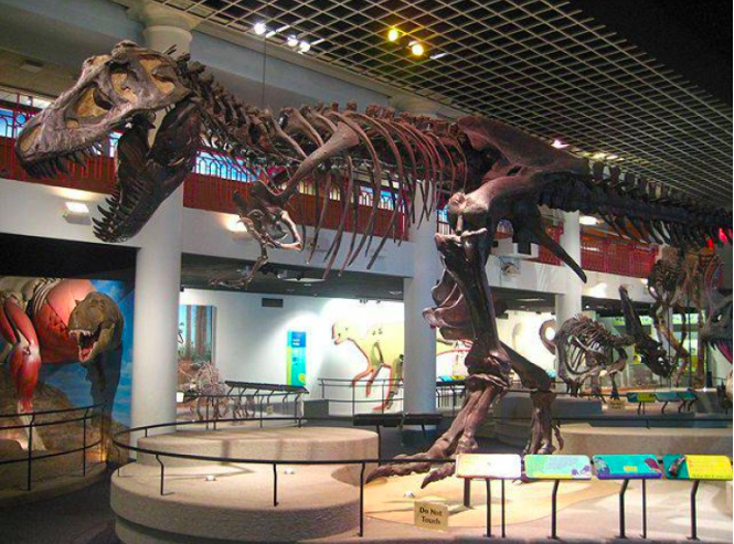 Dünyanın En İyi Bilim Müzeleri 1