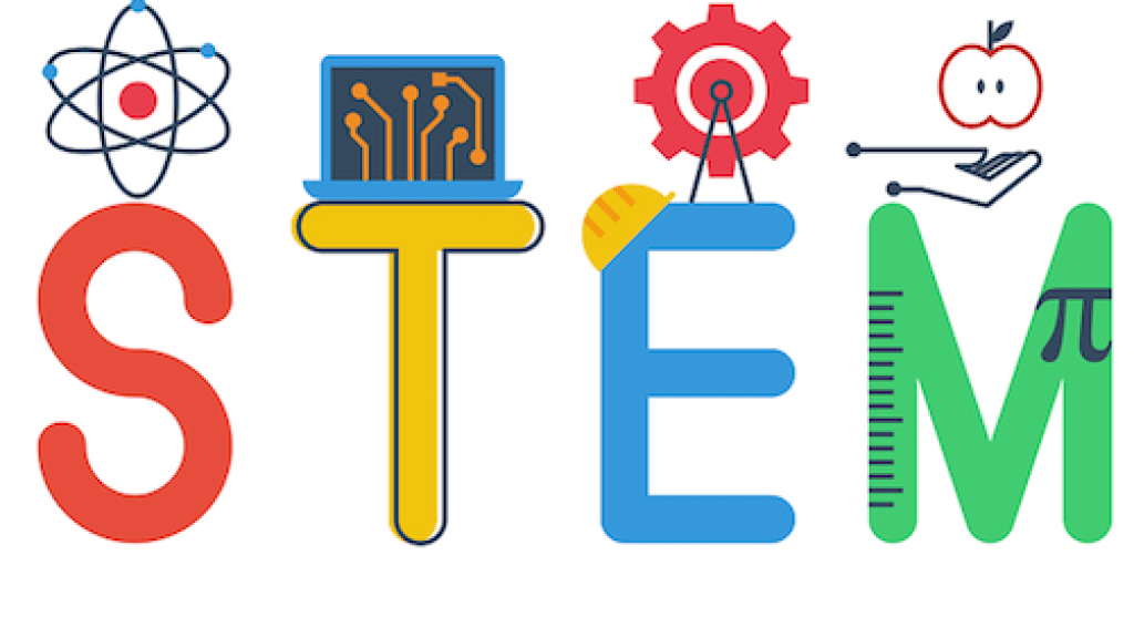 Kadınların STEM Kariyerlerini Tercih Etmemelerinin Nedeni! 2